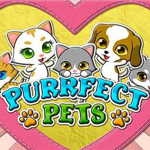 Purrfect Pets